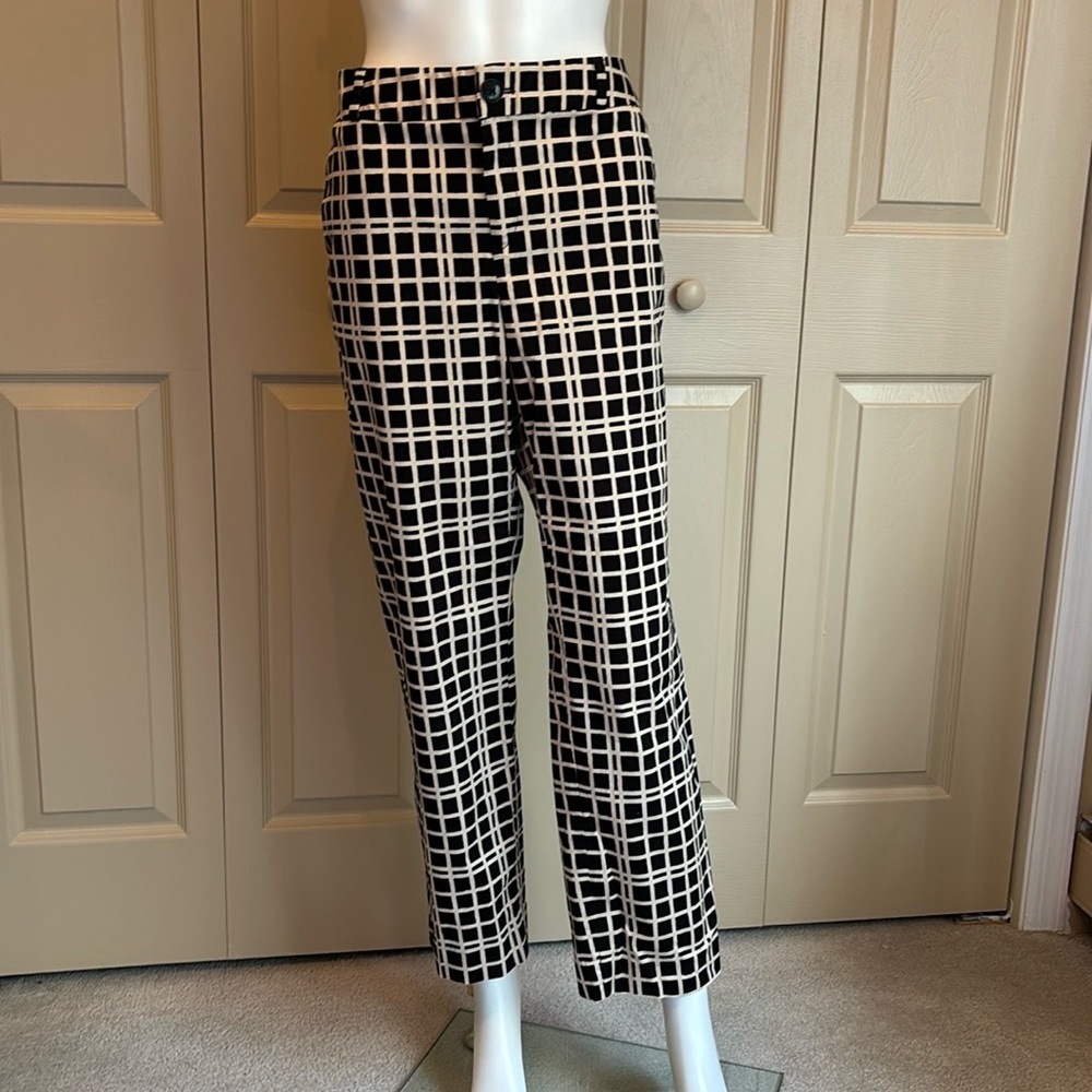 NWOT BANANA REPUBLIC Hampton pants